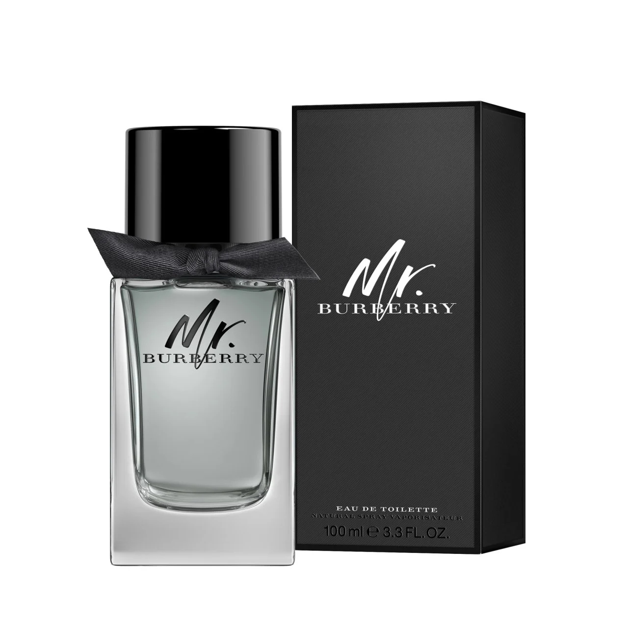 Enderin Jewellery & Luxury MR. EDT 100ML EDT